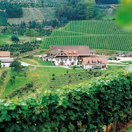 Weingut Alfred Huber Lejlighed Durbach Eksteriør billede