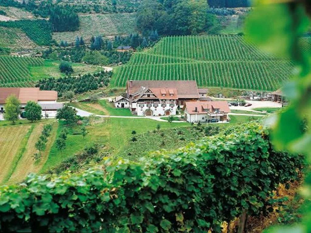 Weingut Alfred Huber Lejlighed Durbach Eksteriør billede