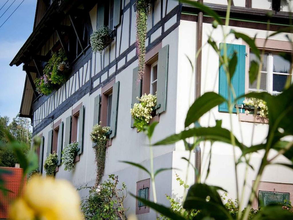 Weingut Alfred Huber Lejlighed Durbach Eksteriør billede
